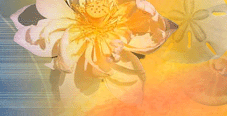 Blossom