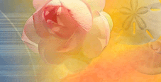Blossom