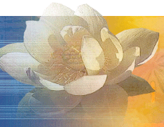 Flower Blossom